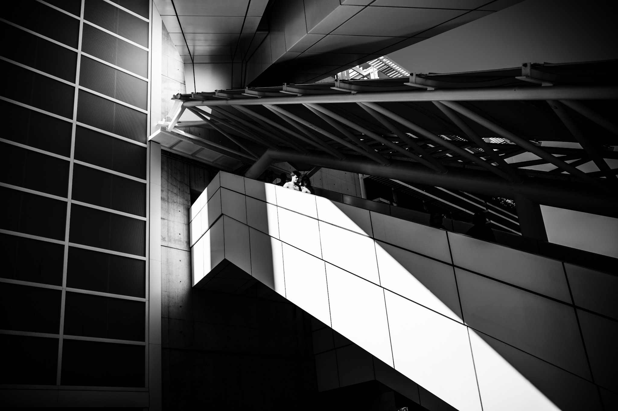 Frame Theory photograph
