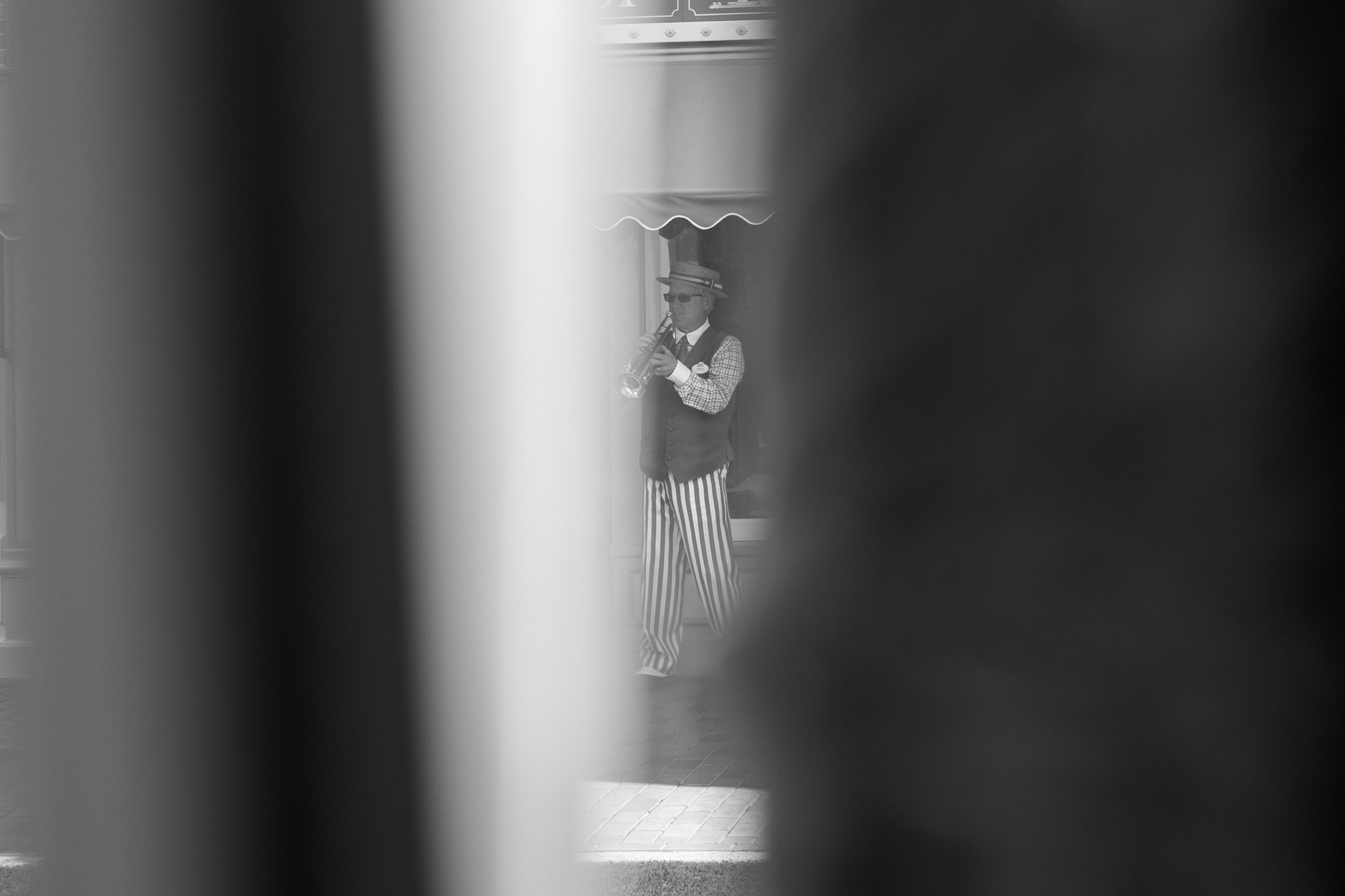Frame Theory photograph