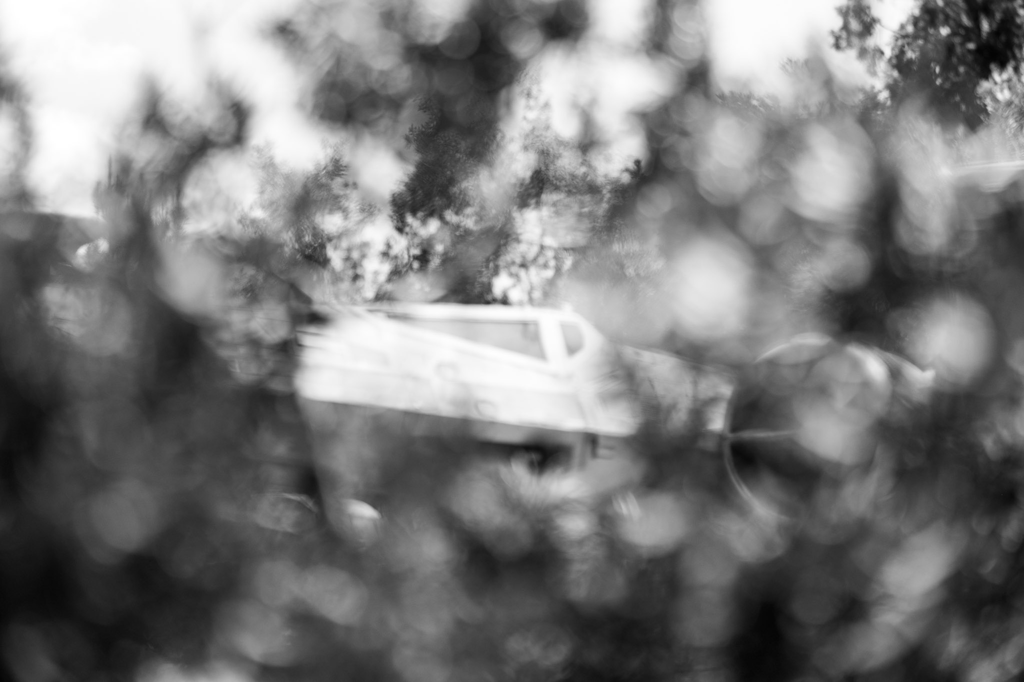 Frame Theory photograph